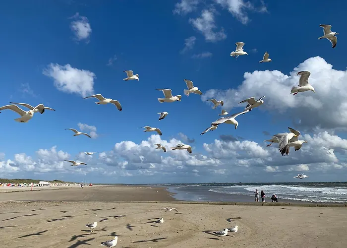 - Kapitaenshaus Kate60 *